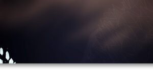 bg compare search | bg-compare-search