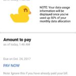 Globe at Home app for internet allowance | Understanding your Monthly Internet Allowance
