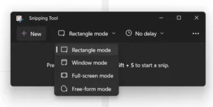 Windows 11 Snippet App